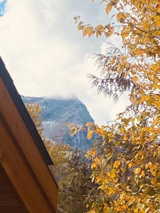 Ski-In Chalet: Private Hot Tub, Bonus Bunk House Fernie Exterior foto